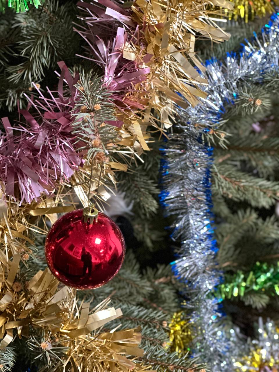 Holiday season · festive studio decor