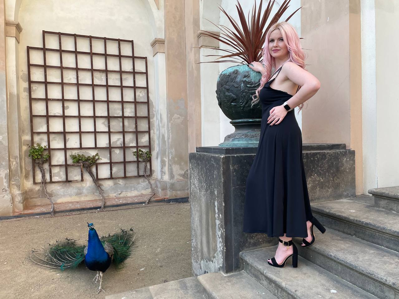 Palace stairs · black dress with peacock