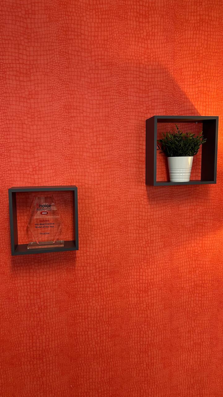 Award shelf · Choice Awards 2022
