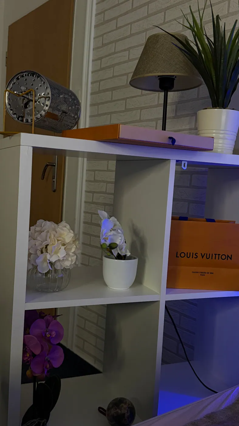 Shelf styling · Louis Vuitton accents